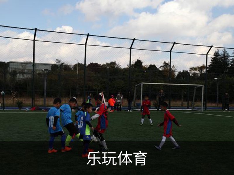 乐玩体育介绍